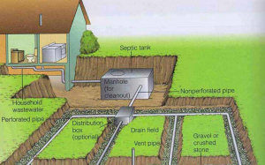 Typical Septic System - Conventional Gravity